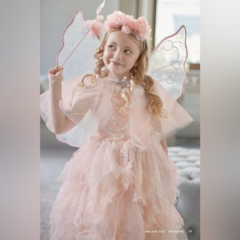 Monique Lhuillier Pottery Barn Kids Blush Fairy Costume Size 8